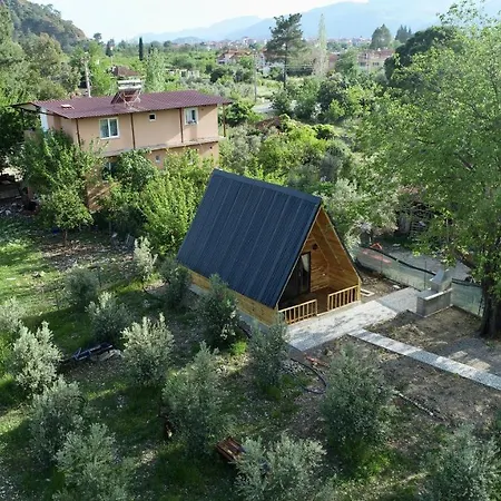 Olive Garden * Ortaca (Mugla)